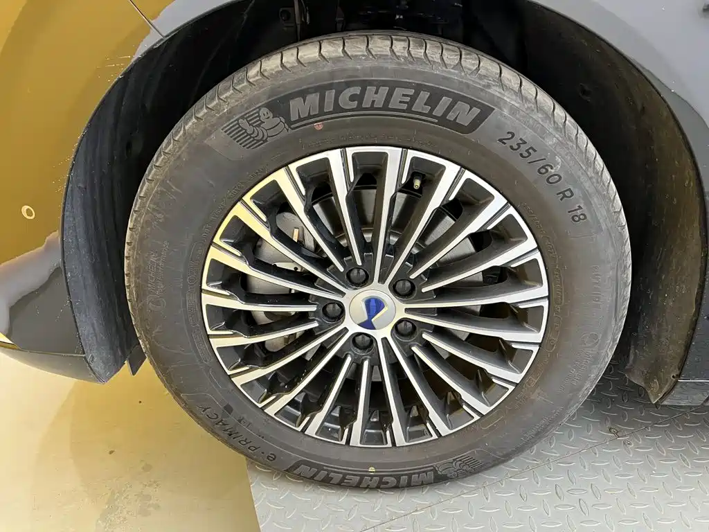 Denza Denza D9 — миниатюра 10