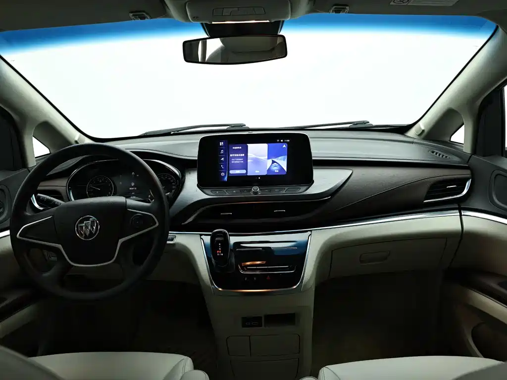 Buick GL8 — миниатюра 15
