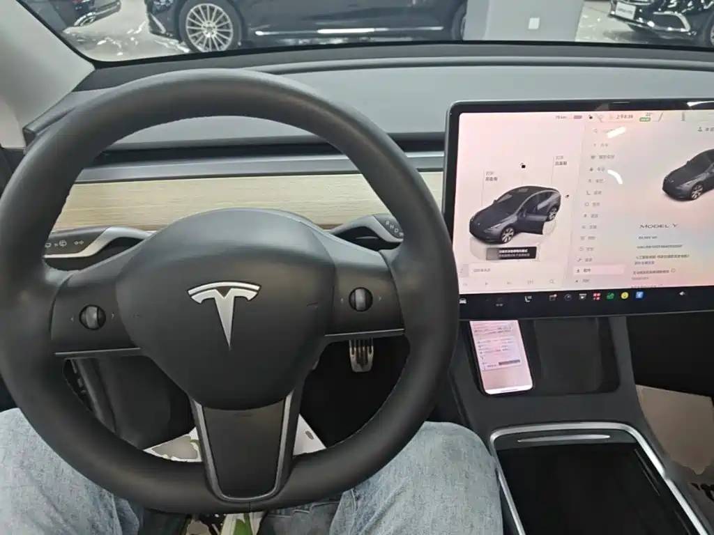 Tesla Model Y — миниатюра 10