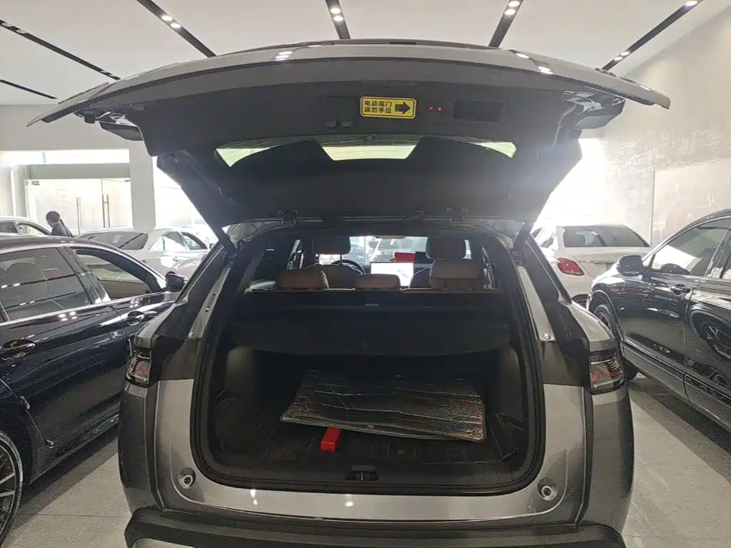 BYD L DM-i — миниатюра 19