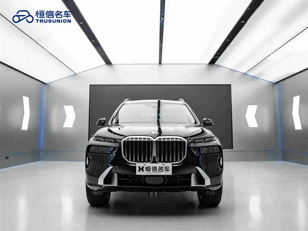 BMW X7 — миниатюра 2