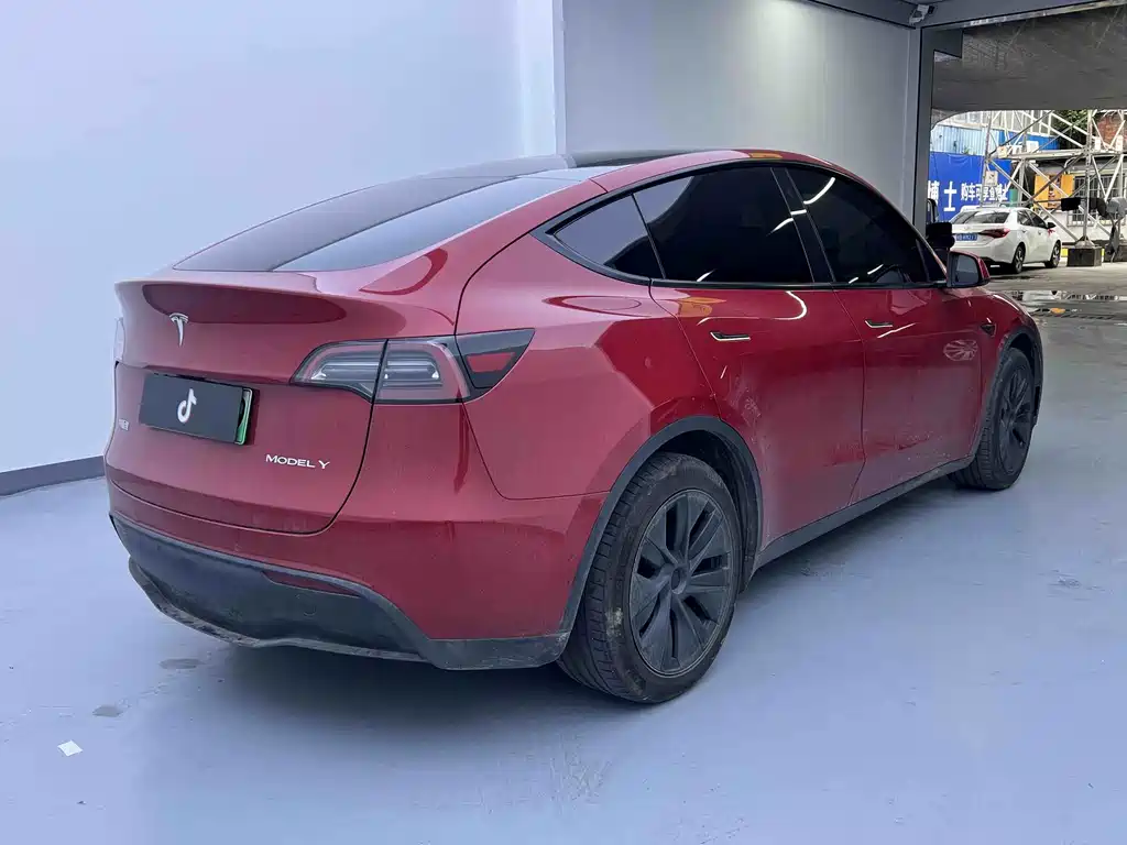 Tesla Model Y — миниатюра 13