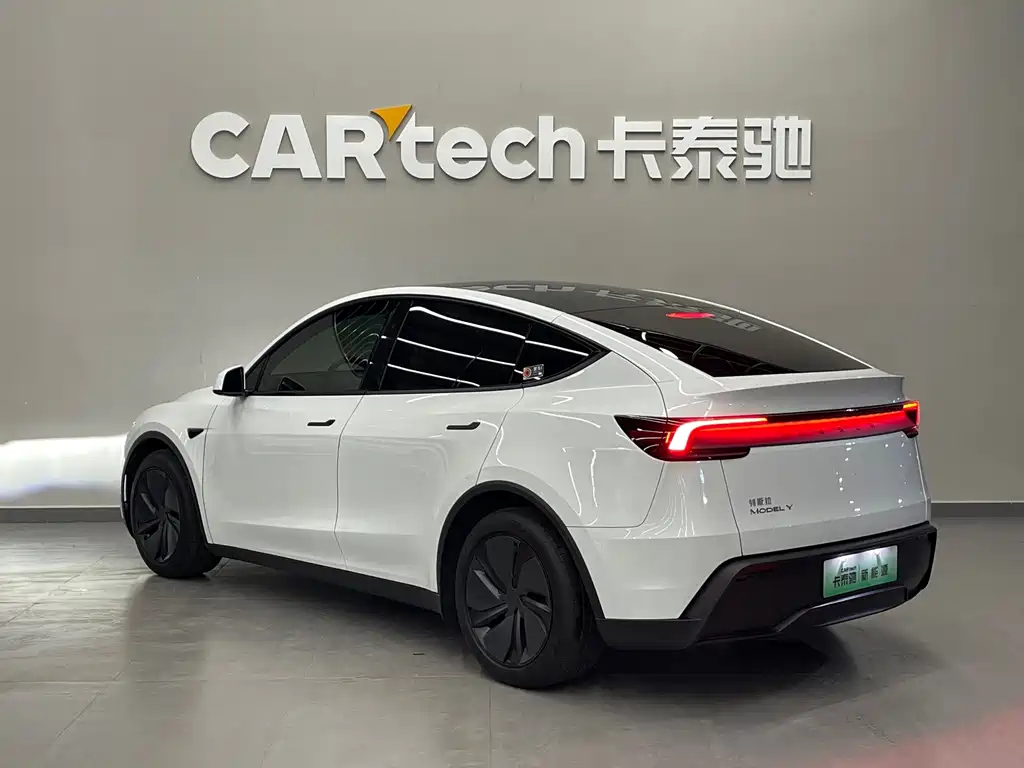 Tesla Model Y — миниатюра 6