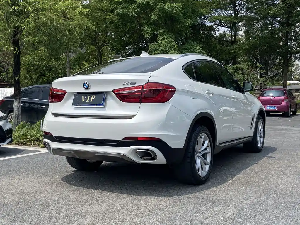 BMW X6 2017 xDrive35i Lead