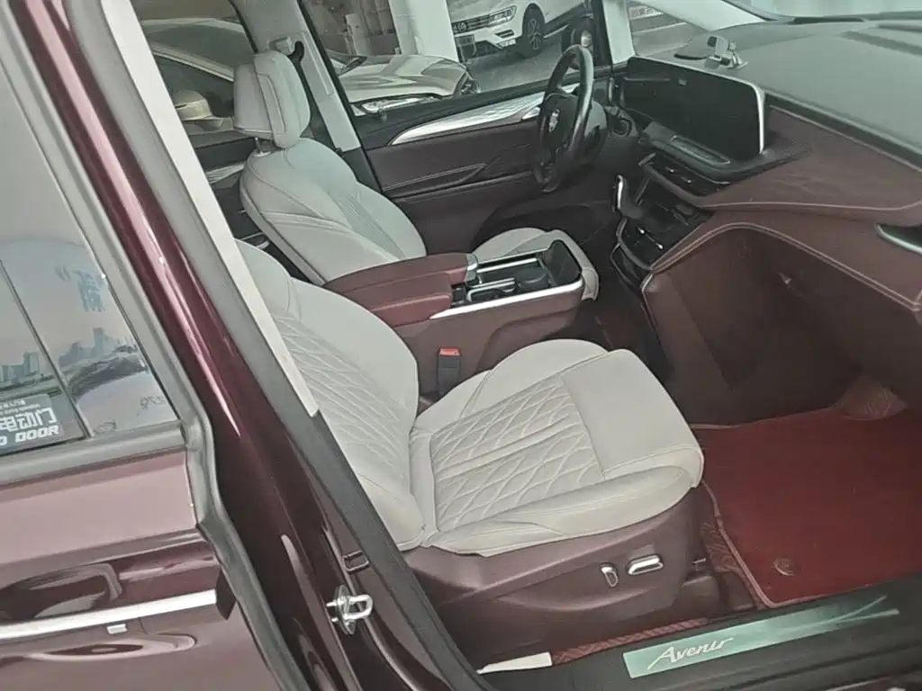 Buick GL8 — миниатюра 25
