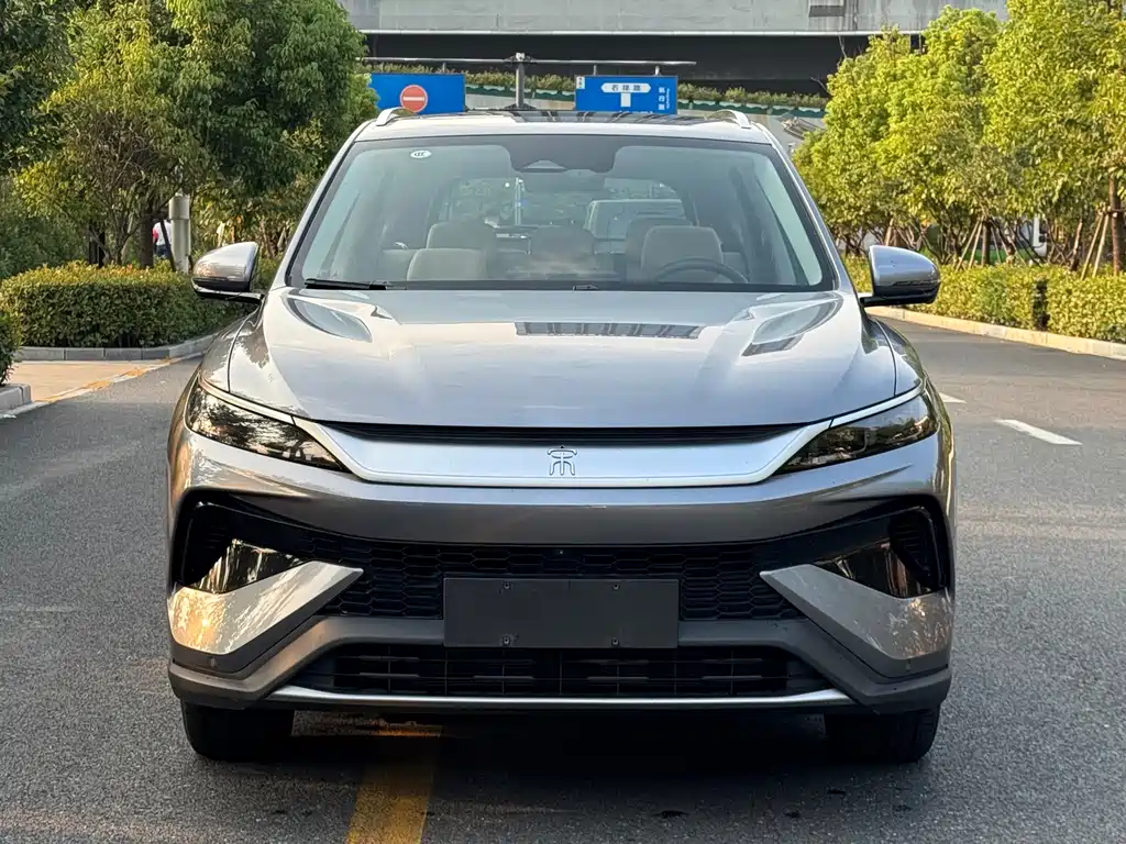 BYD Pro New Energy — миниатюра 2