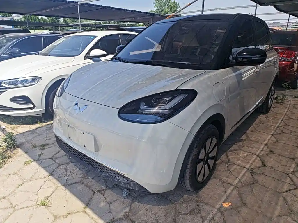 Wuling Binguo 2024 333km Delight