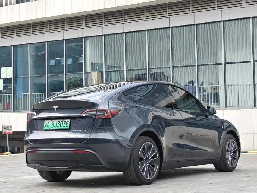 Tesla Model Y — миниатюра 7