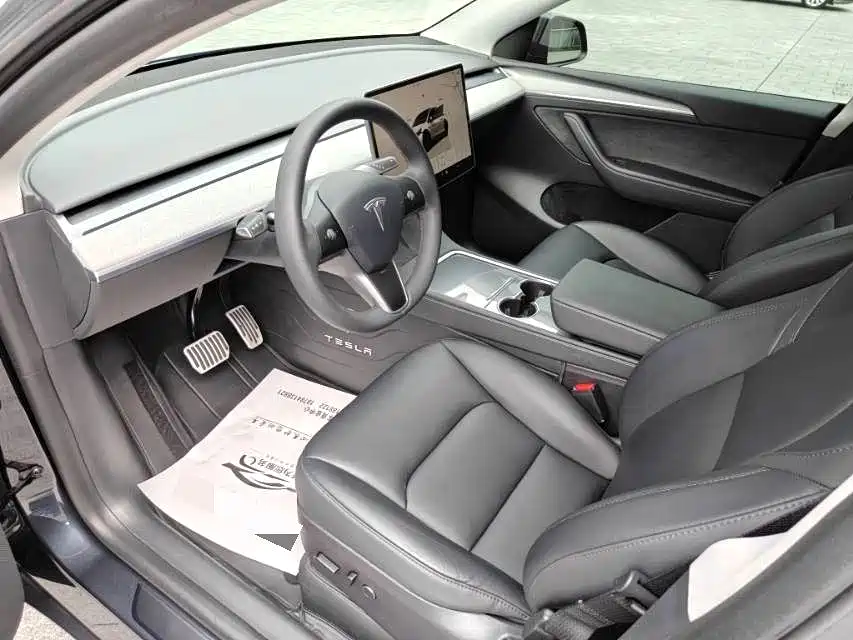 Tesla Model Y — миниатюра 6