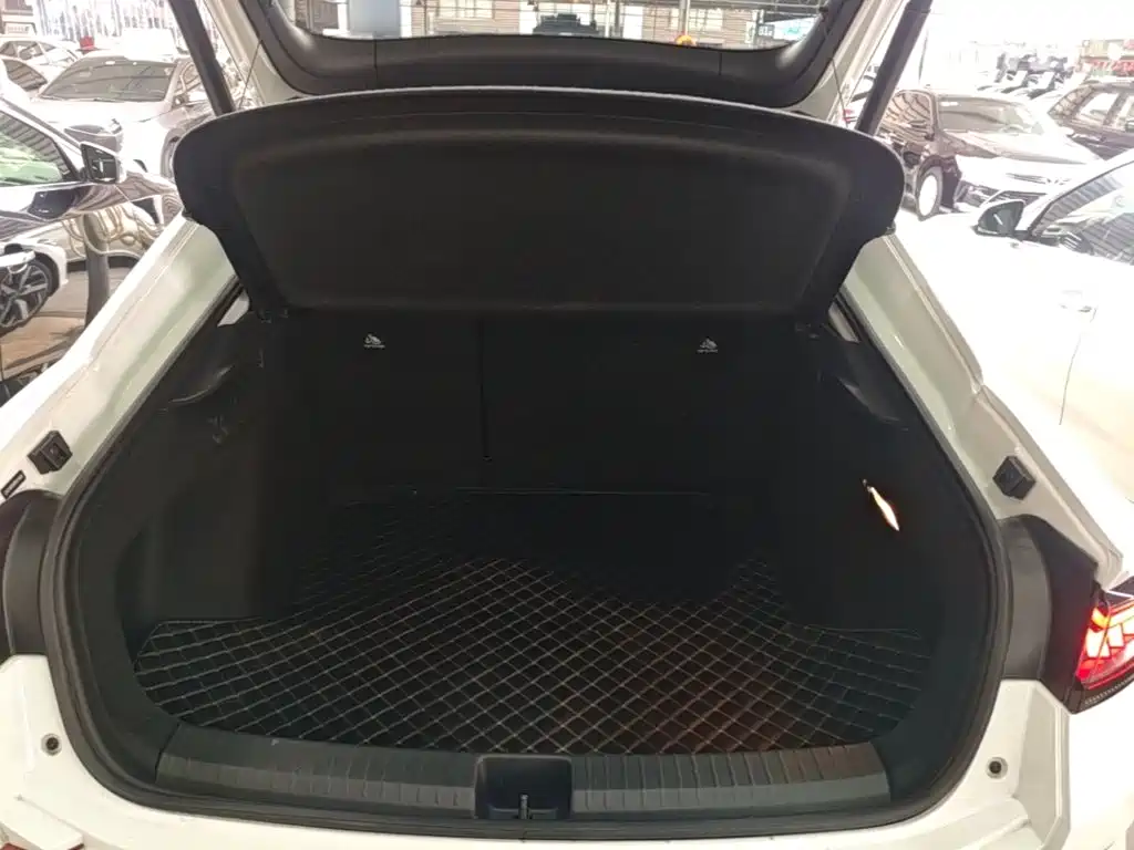 Volkswagen Lamando — миниатюра 19