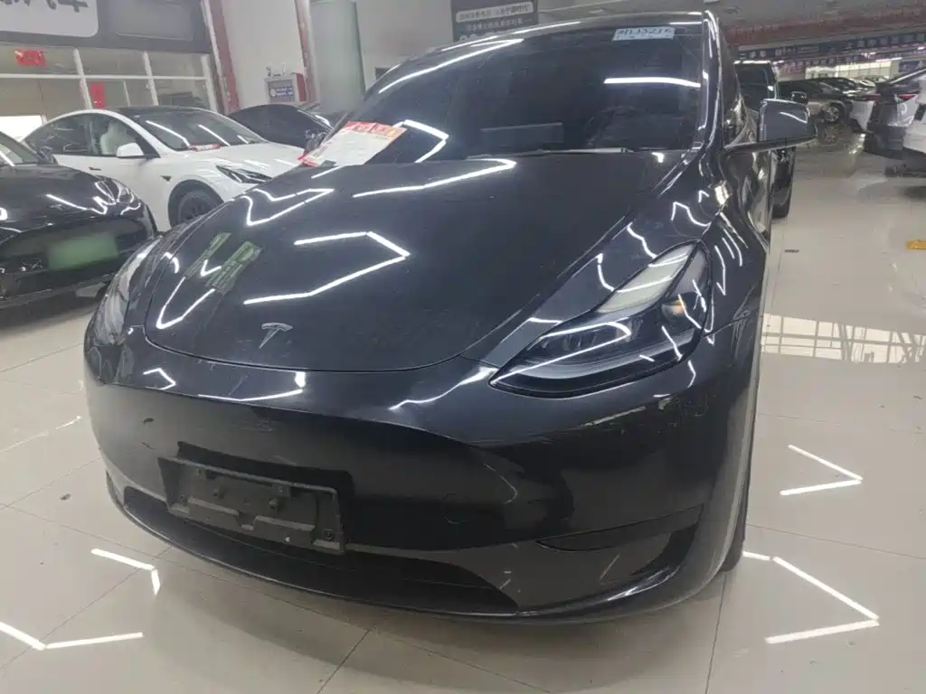 Tesla Model Y — миниатюра 3