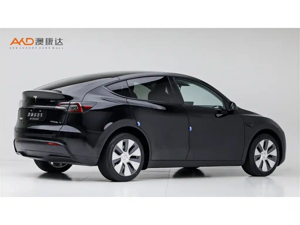 Tesla Model Y — миниатюра 3