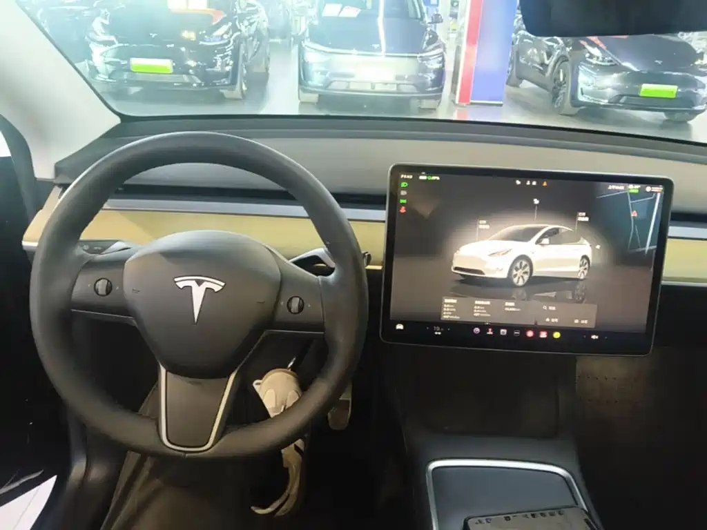 Tesla Model Y — миниатюра 10