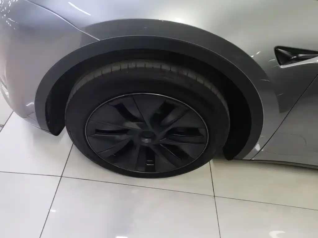 Tesla Model Y — миниатюра 23