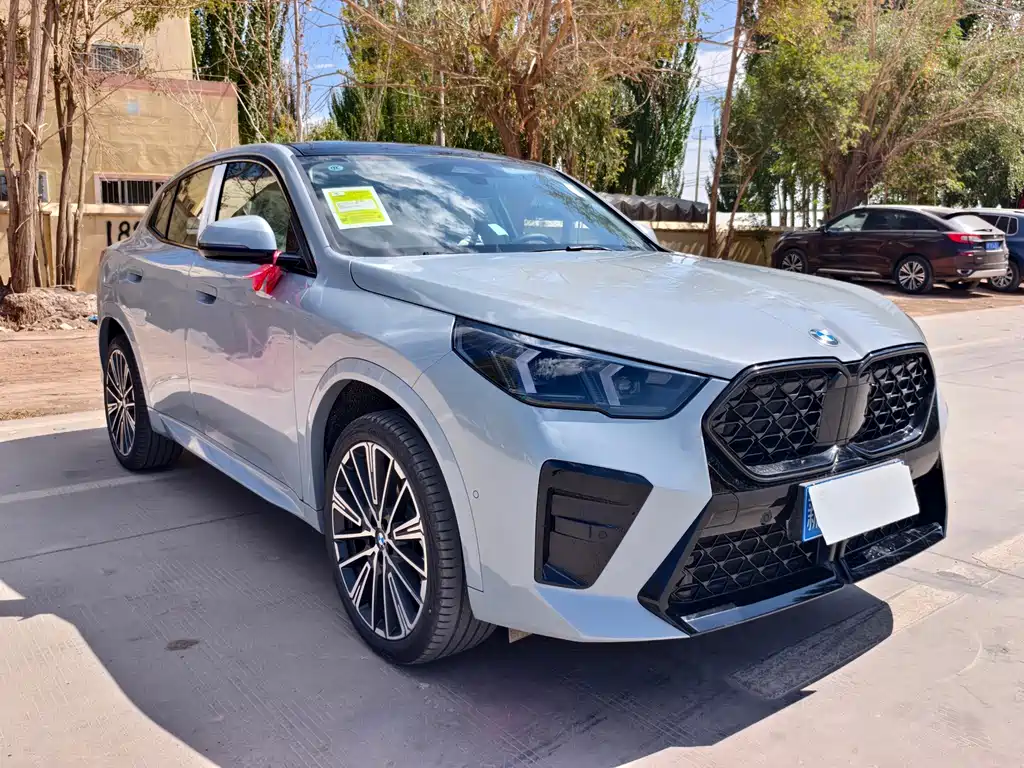 BMW X2 (Import) — миниатюра 3