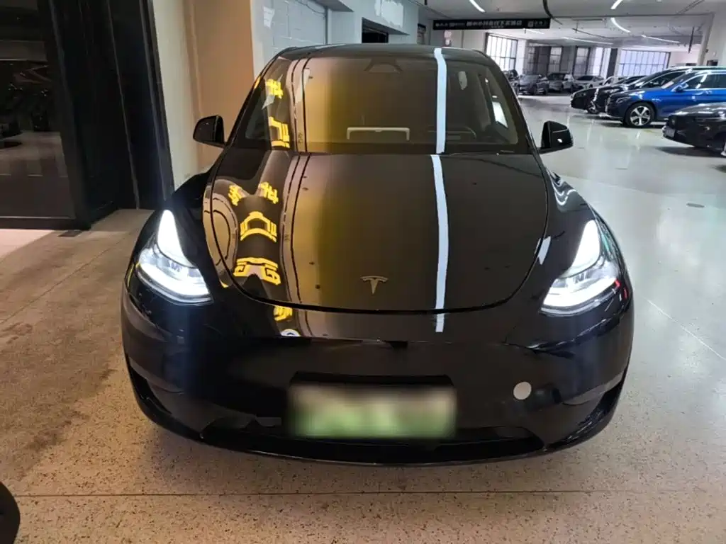 Tesla Model Y — миниатюра 3