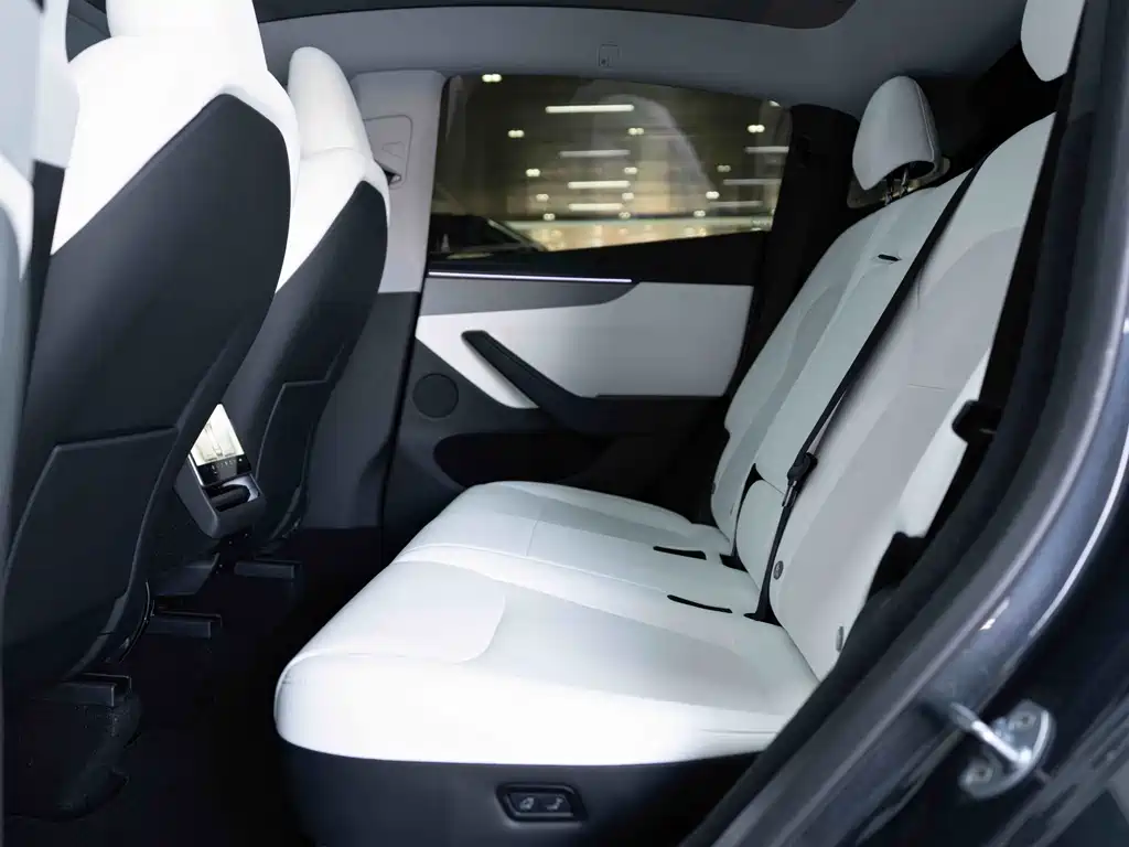 Tesla Model Y — миниатюра 16