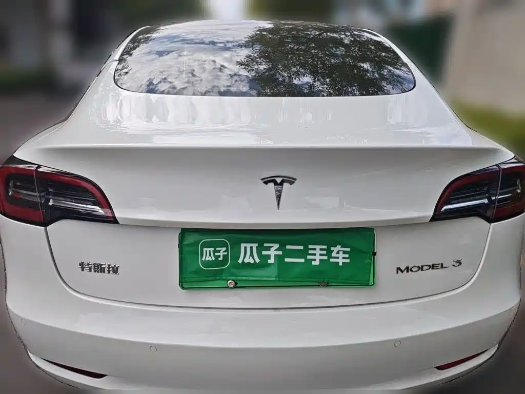 Tesla Model 3 — миниатюра 10