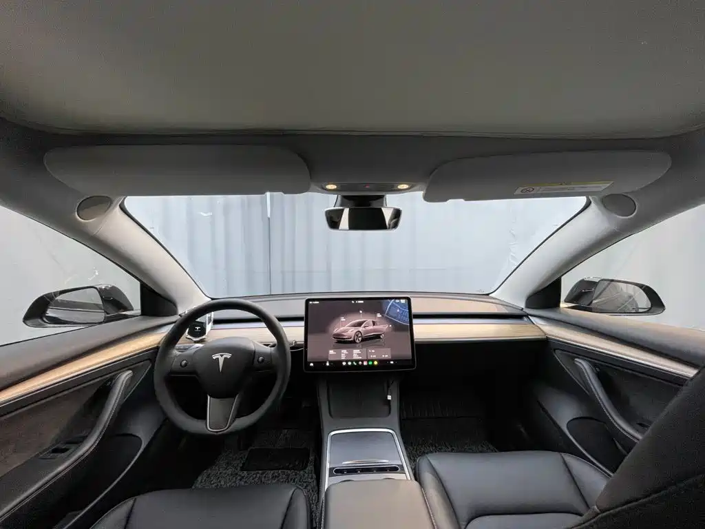 Tesla Model 3 — миниатюра 10