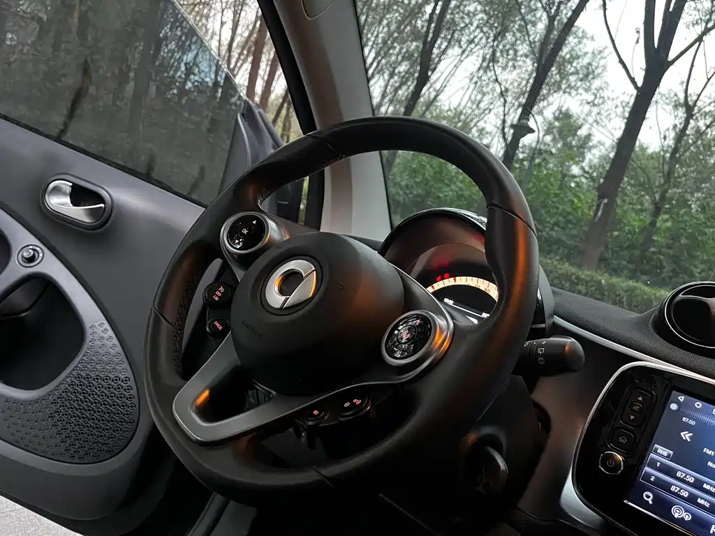 smart Smart Fortwo — миниатюра 8