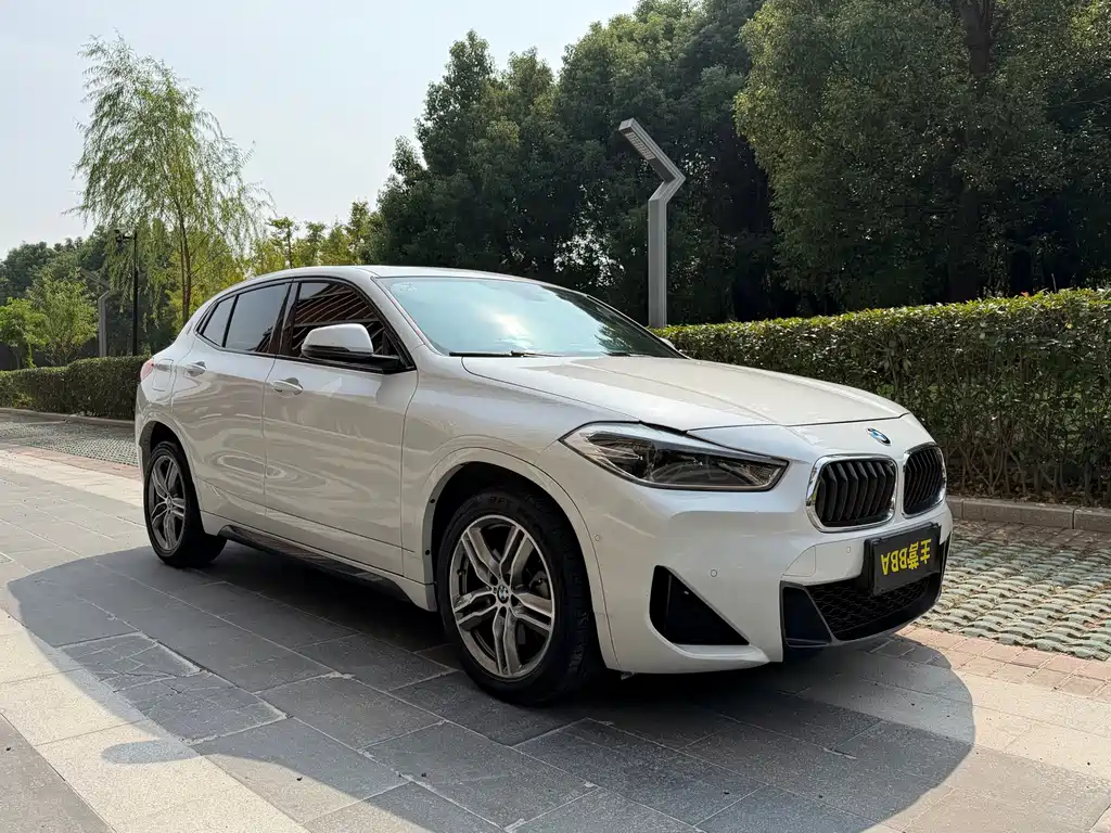 BMW X2 — миниатюра 3