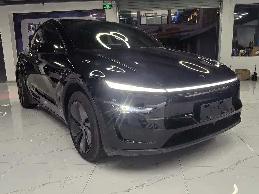 Tesla Model Y — миниатюра 3