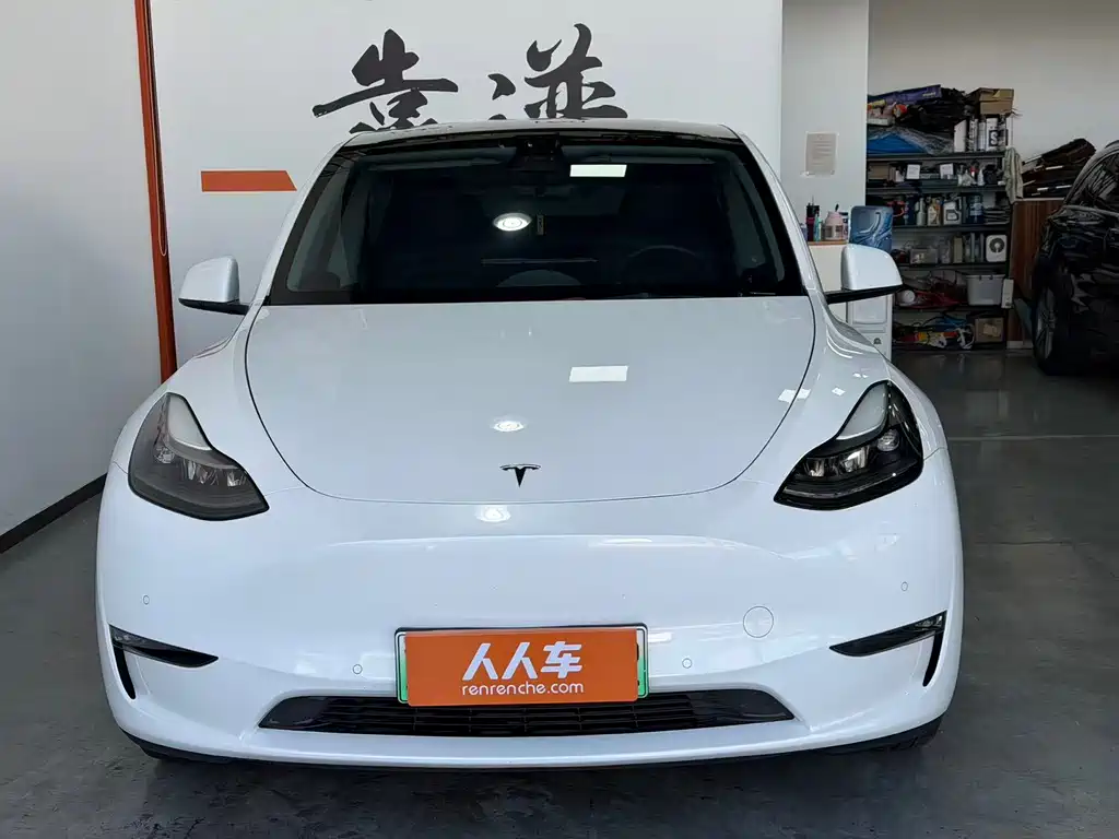Tesla Model Y — миниатюра 2