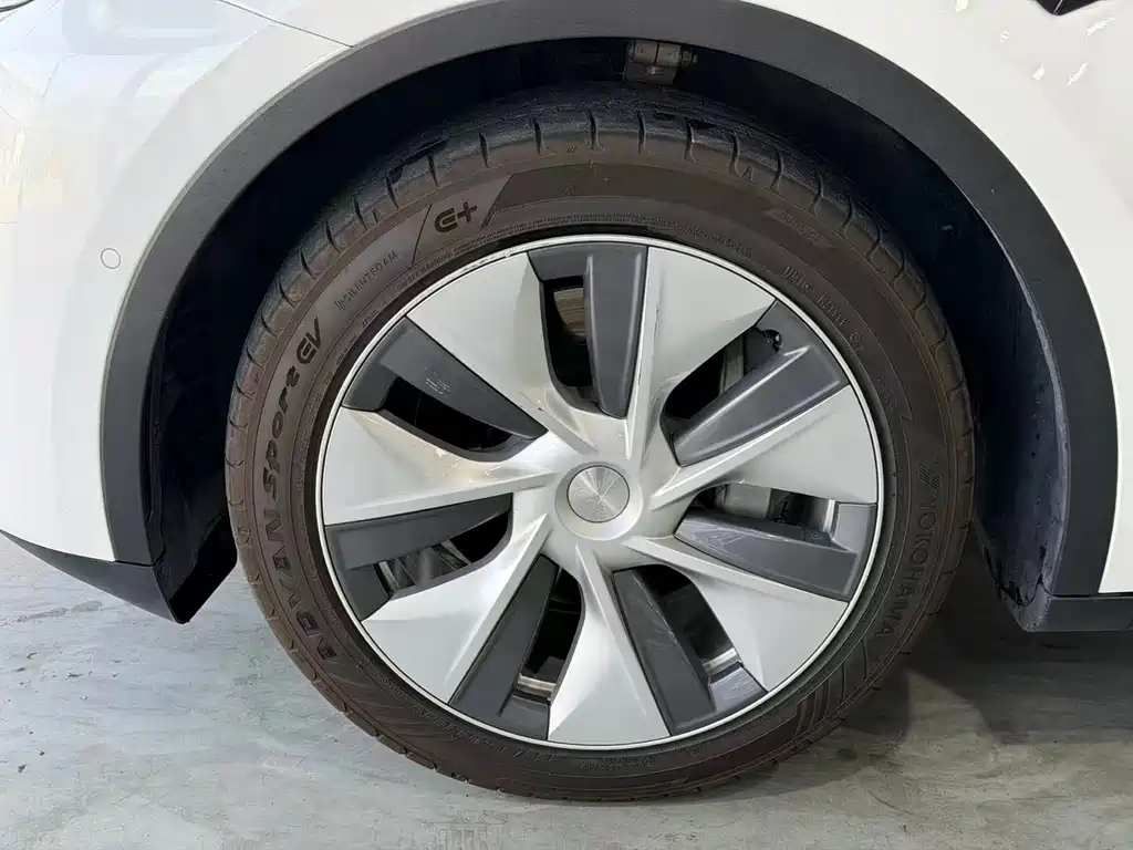 Tesla Model Y — миниатюра 4