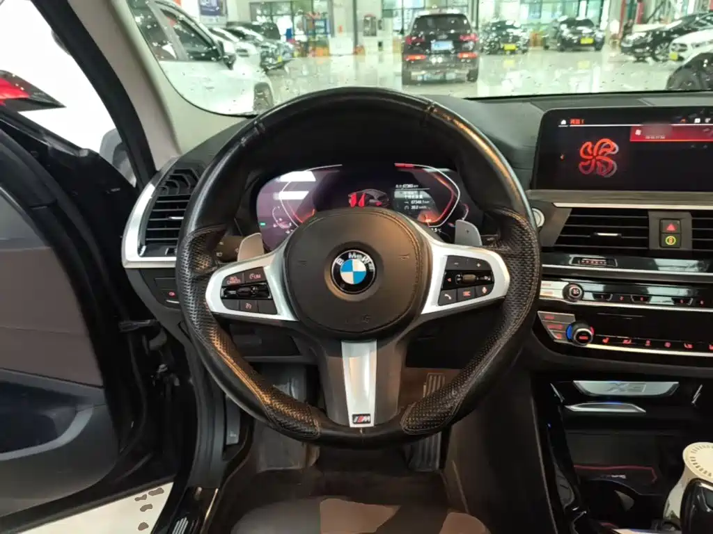 BMW X3 — миниатюра 11