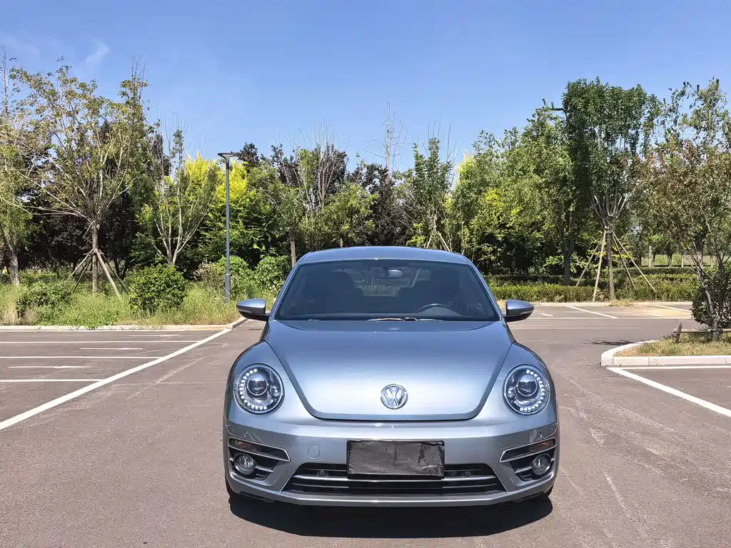 Volkswagen Beetle — миниатюра 2