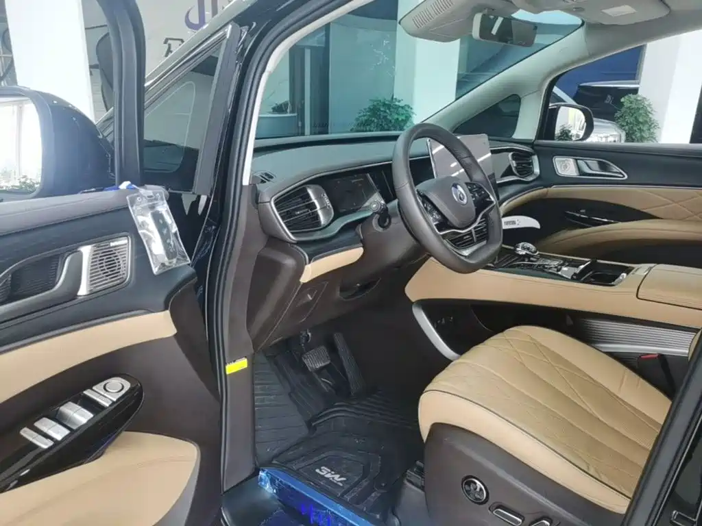 Denza Denza D9 — миниатюра 16