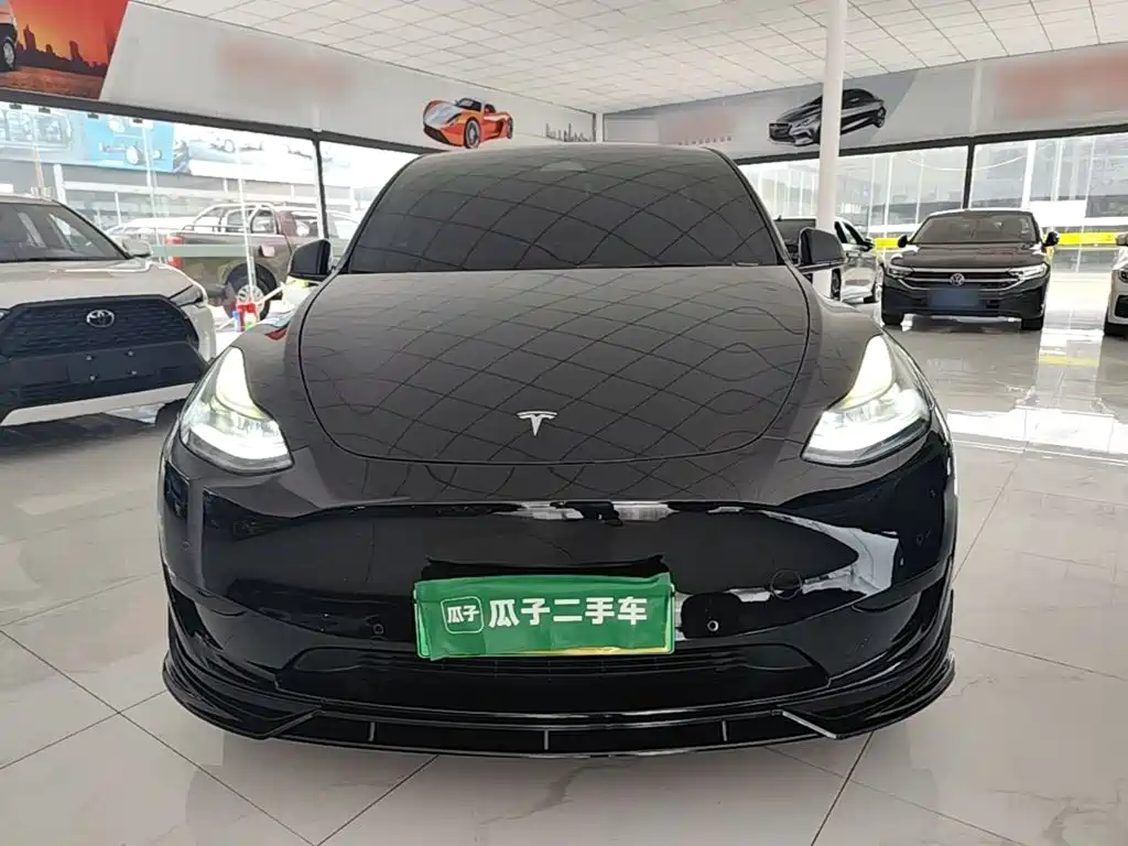 Tesla Model Y — миниатюра 3