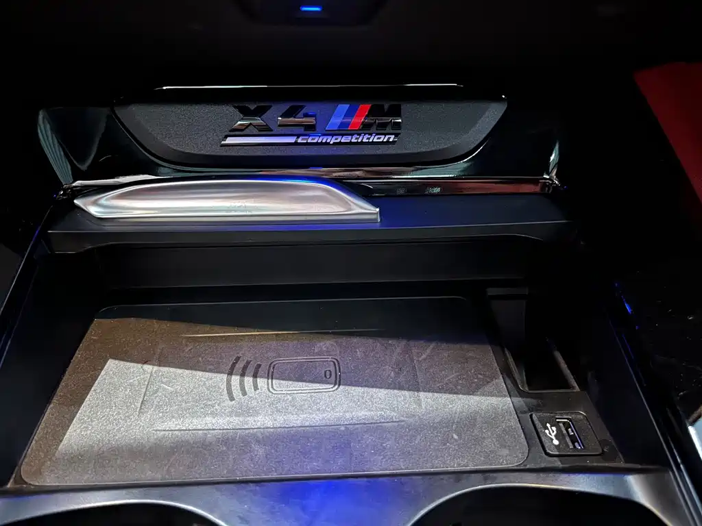 BMW X4 M X4 M Thunder Edition, фото 15