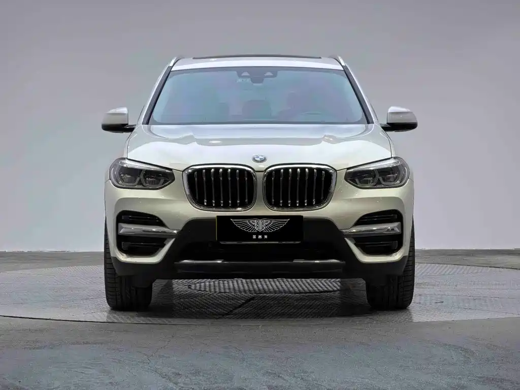BMW X3 — миниатюра 2