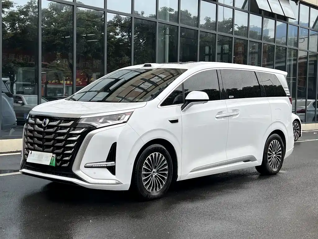 Denza Denza D9