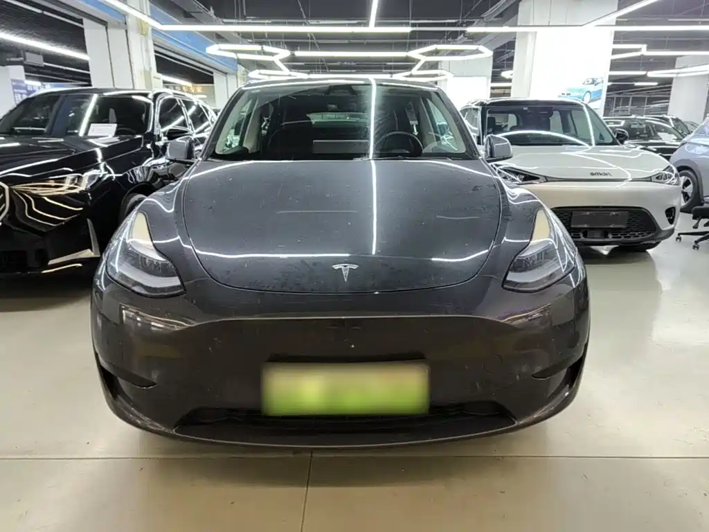 Tesla Model Y — миниатюра 3