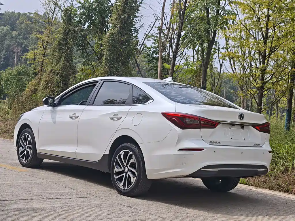 Changan Eado New Energy — миниатюра 6