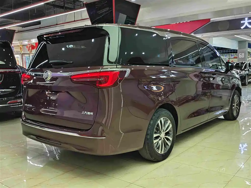 Buick GL8 — миниатюра 15