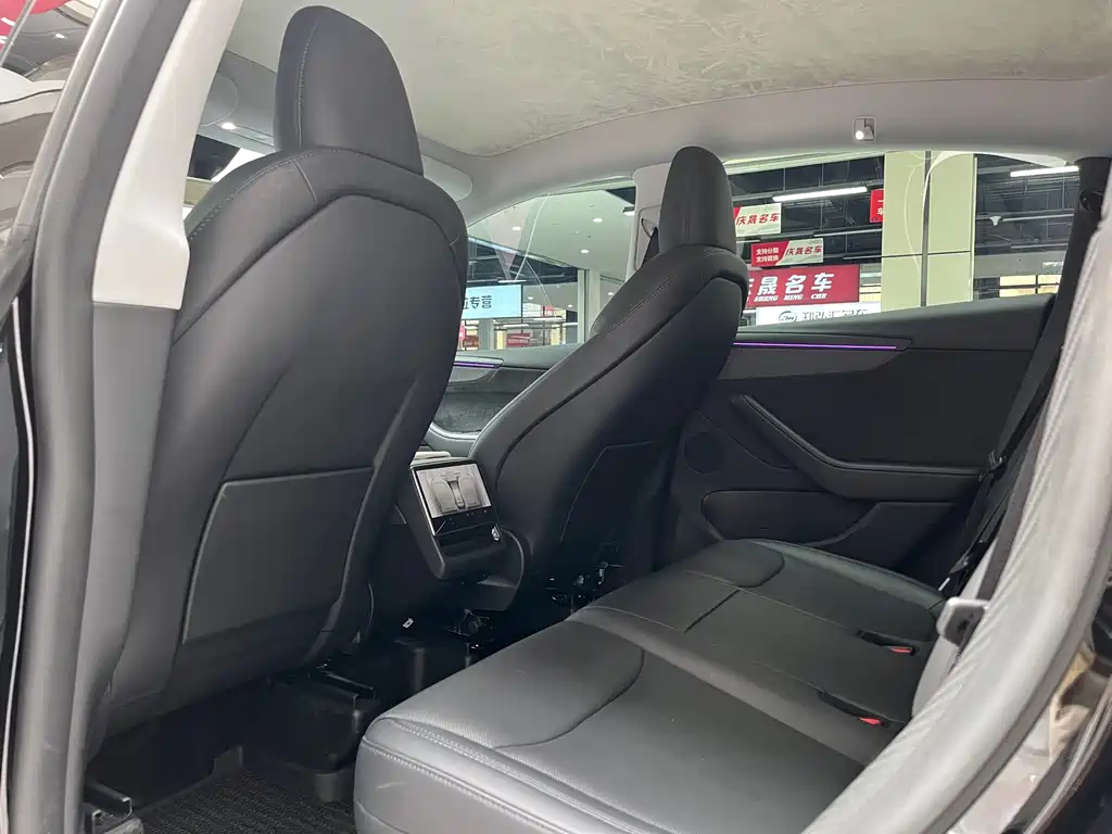 Tesla Model Y — миниатюра 5