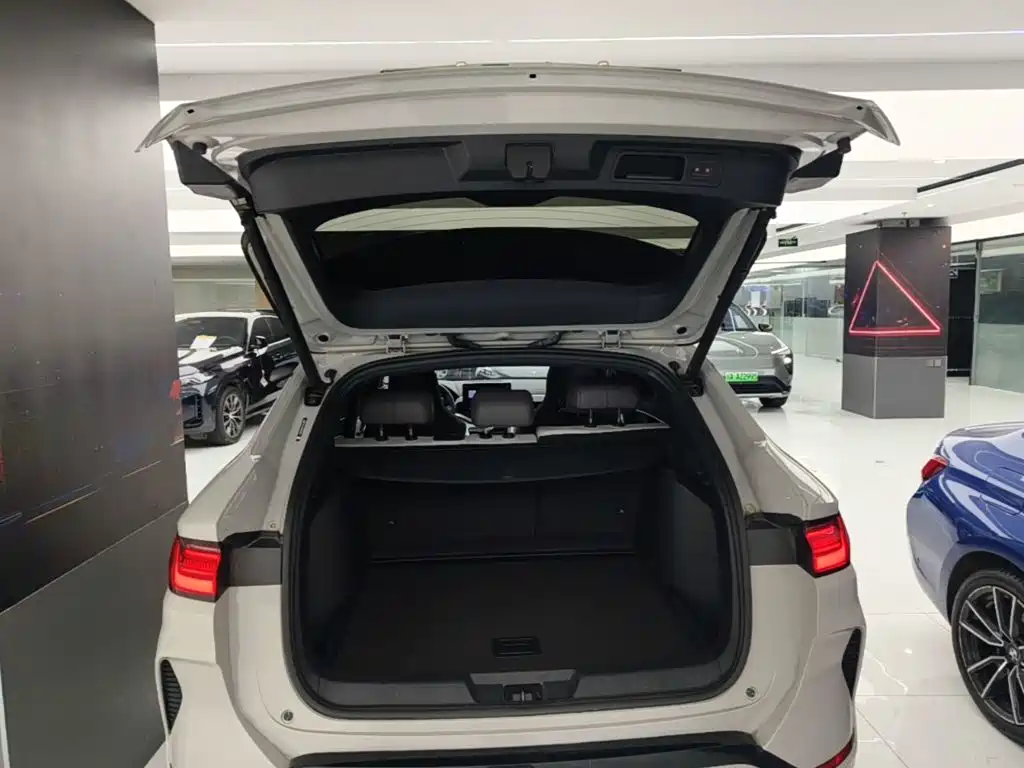 BYD PLUS New Energy — миниатюра 19