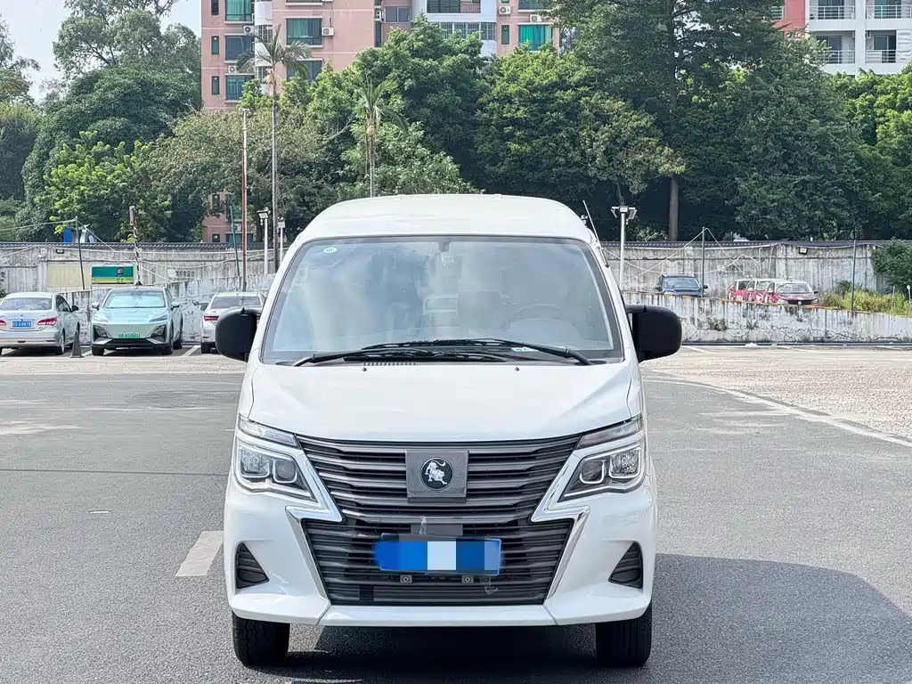 DONGFENG LINGZHI NEW ENERGY