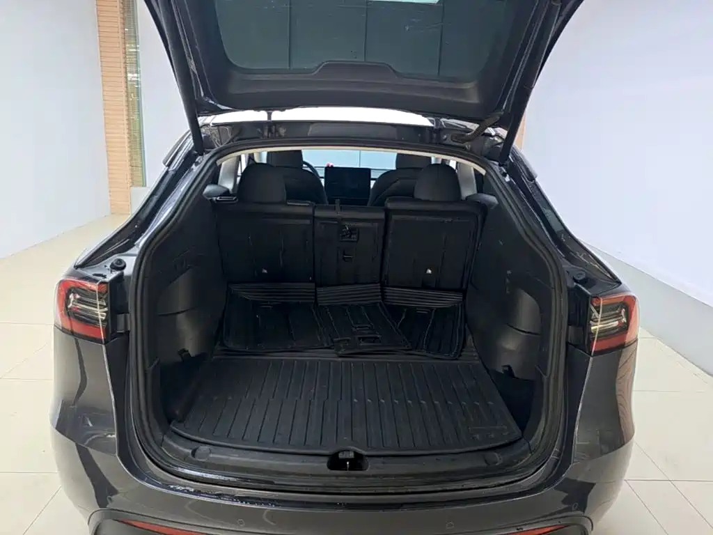 Tesla Model Y — миниатюра 19