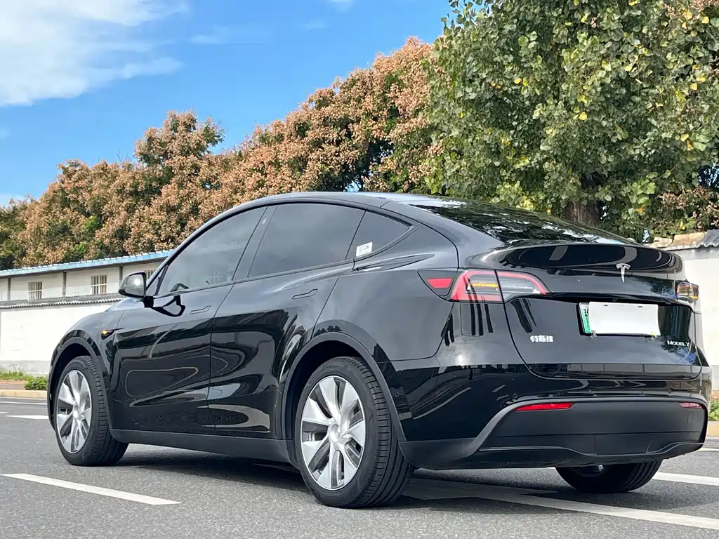 Tesla Model Y — миниатюра 4