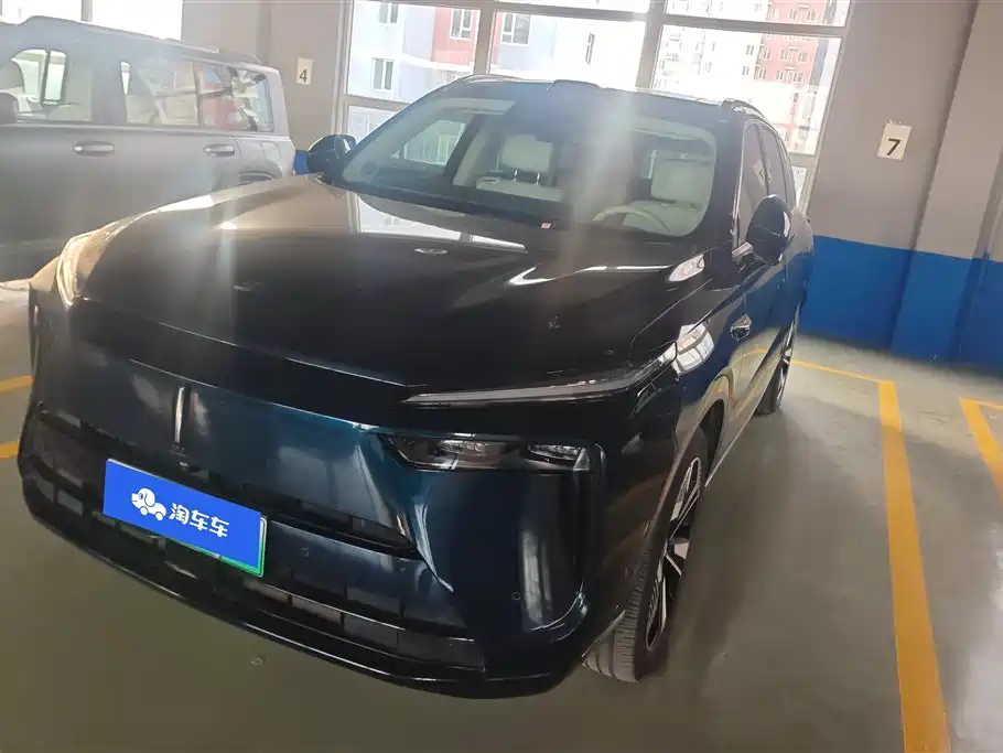 WEI PAI WEI BRAND BLUE MOUNTAIN