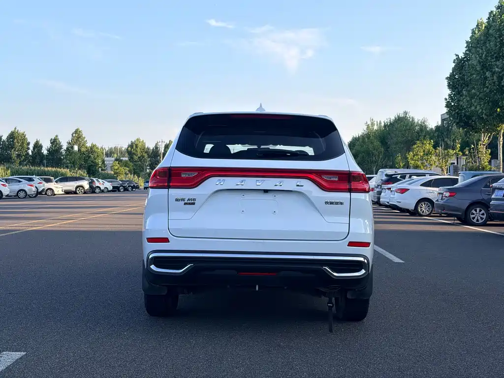 Haval M6 — миниатюра 9