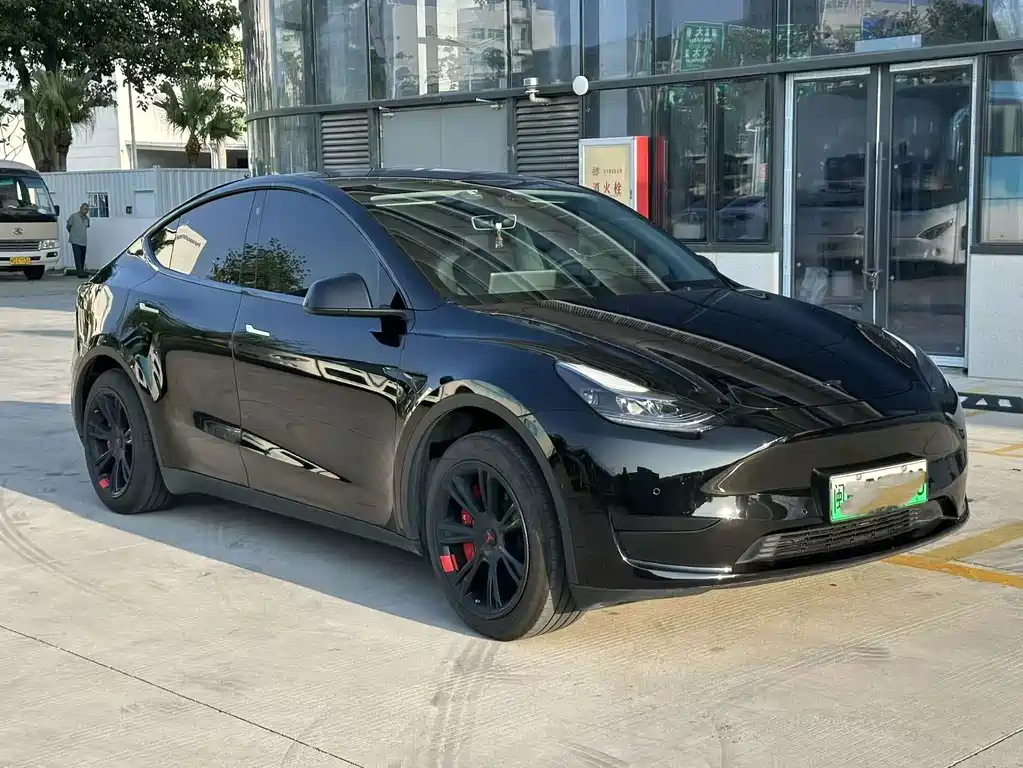 Tesla Model Y — миниатюра 3