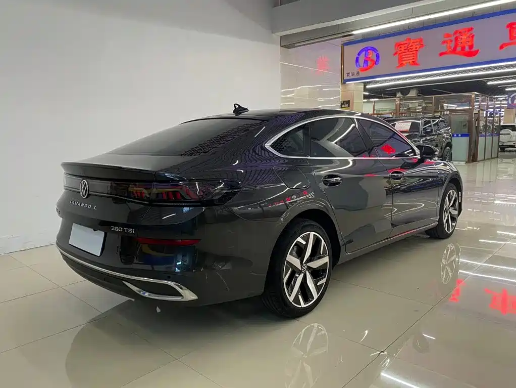 Volkswagen Lamando — миниатюра 6