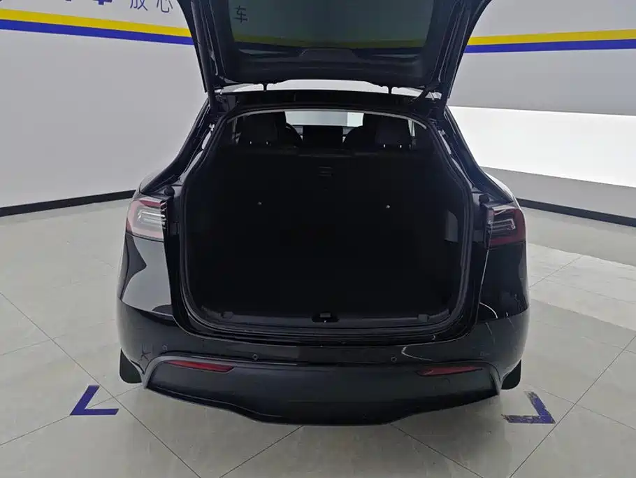 Tesla Model Y — миниатюра 4