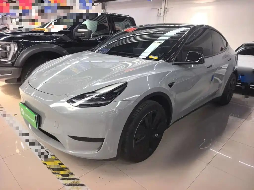 Tesla Model Y — миниатюра 2