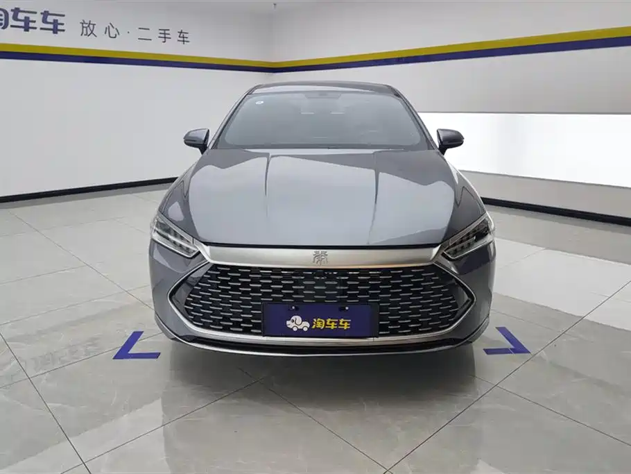 BYD Qin Plus PLUS 2024 DM-i 55KM Lead